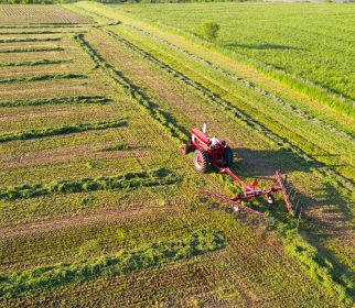 Agriculture