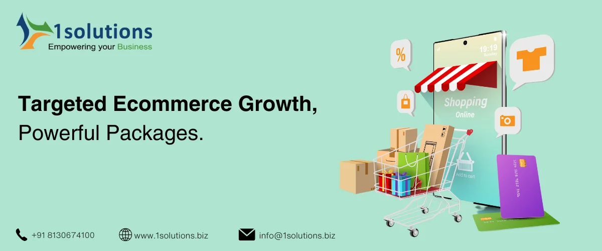 eCommerce SEo Packages