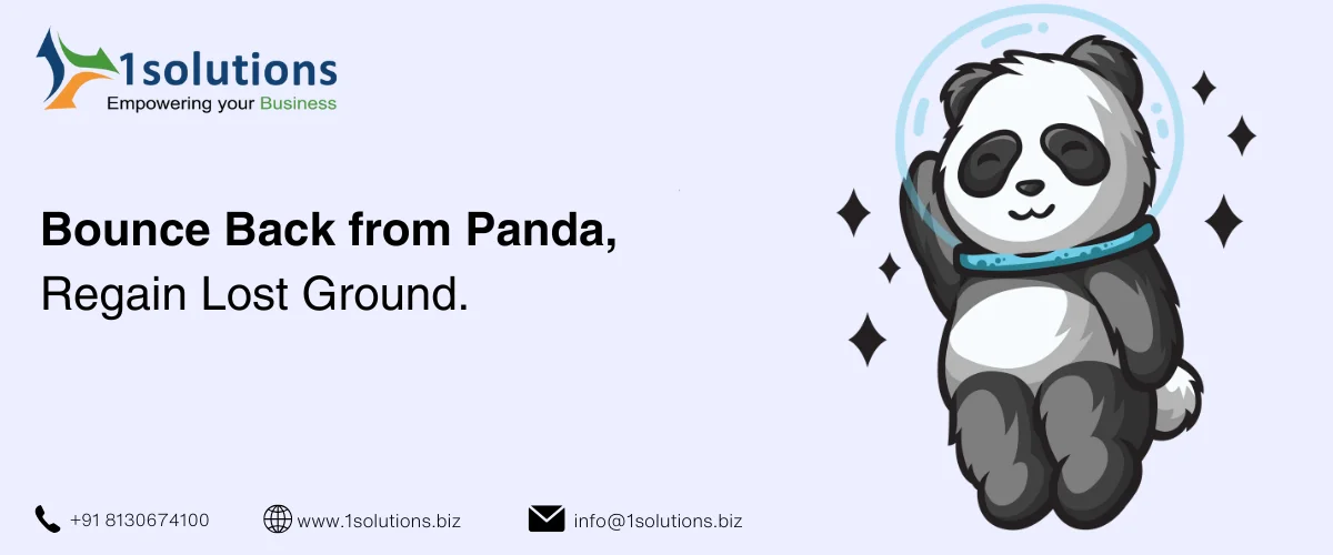 Google Panda Recovery Services