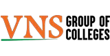 VNS logo
