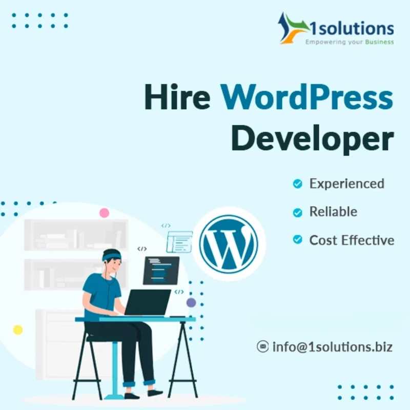 Hire WordPress Developer
