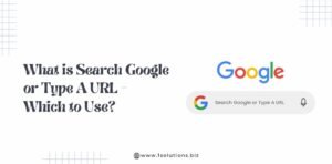 What is Search Google or Type A URL?